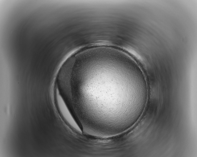 X0000093431325200710191018