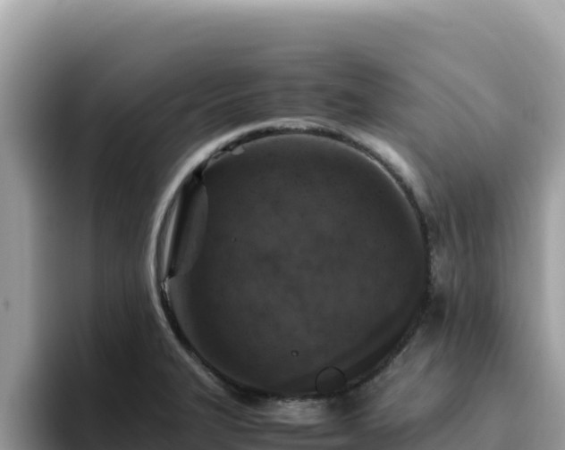 X0000093431327200710191018
