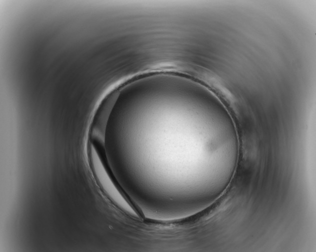 X0000093431328200710191018