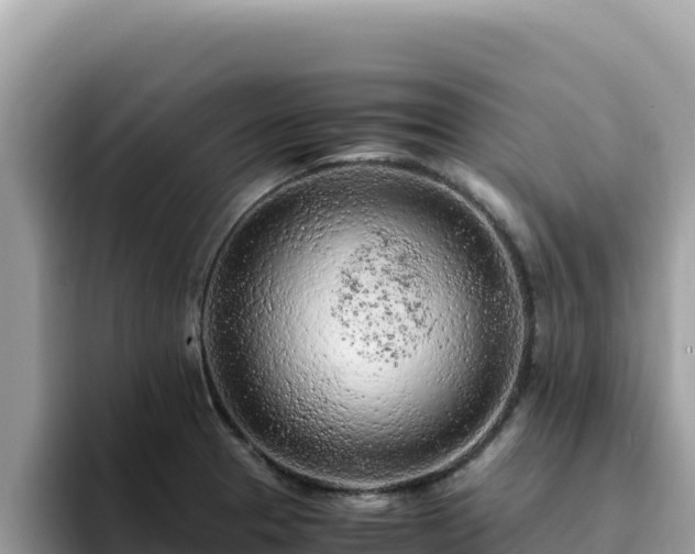 X0000093431329200710191018