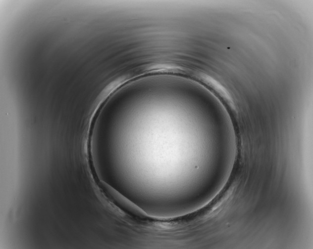 X0000093431330200710191018