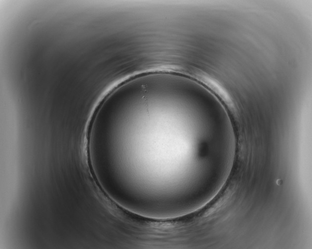 X0000093431332200710191018