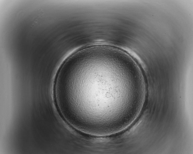 X0000093431333200710191019