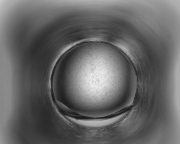 X0000093431335200710191019