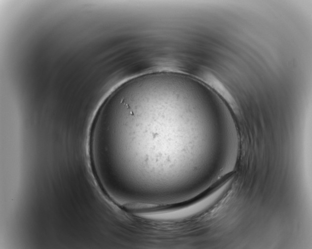 X0000093431339200710191019