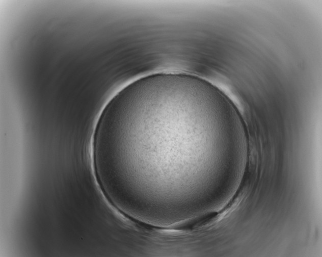 X0000093431343200710191019