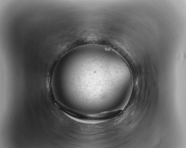 X0000093431348200710191018