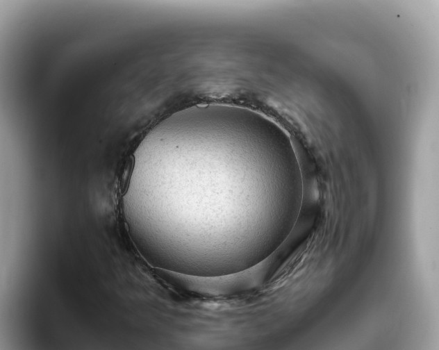X0000093431349200710191018