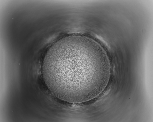 X0000093431350200710191018