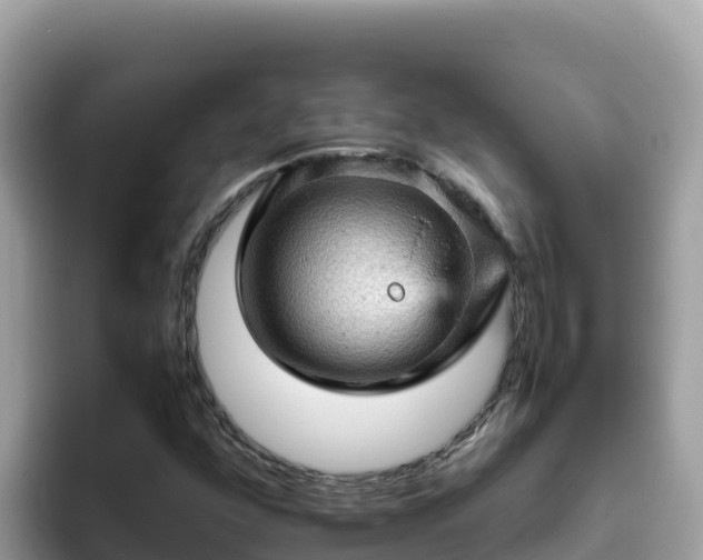 X0000093431352200710191018