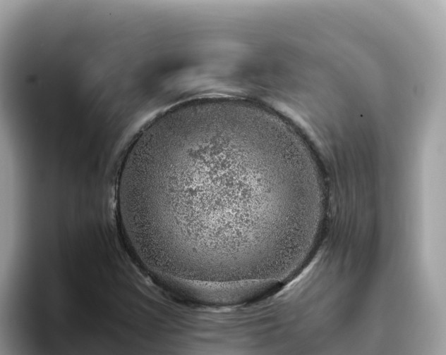 X0000093431355200710191018