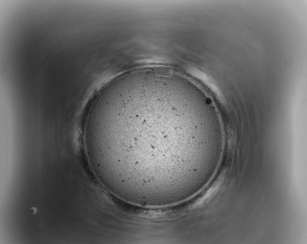 X0000093431357200710191018