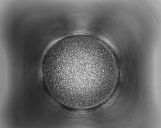 X0000093431358200710191017