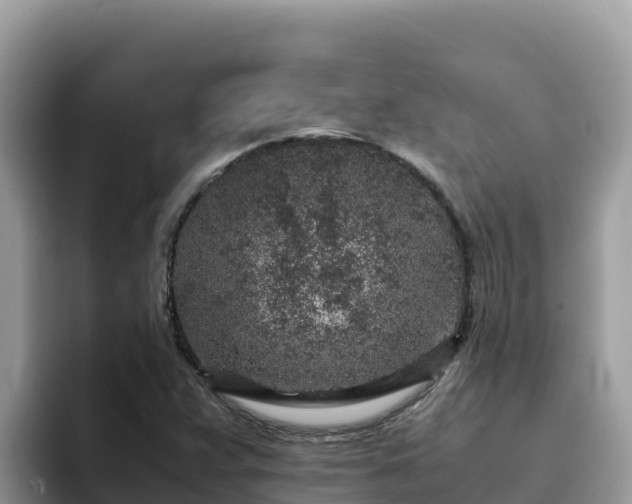 X0000093431359200710191017