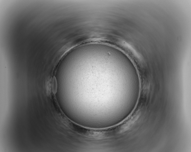 X0000093431361200710191017
