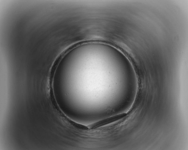X0000093431364200710191017