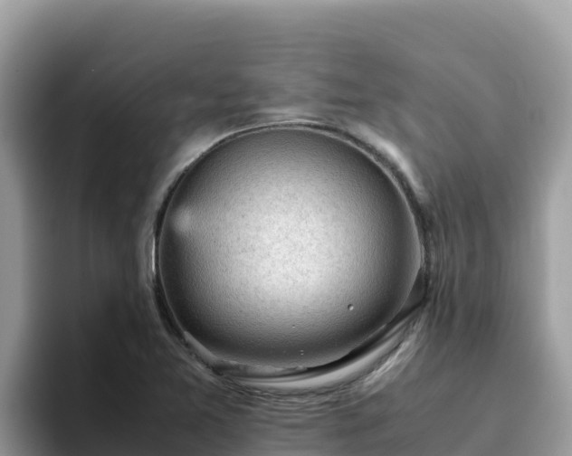 X0000093431365200710191017