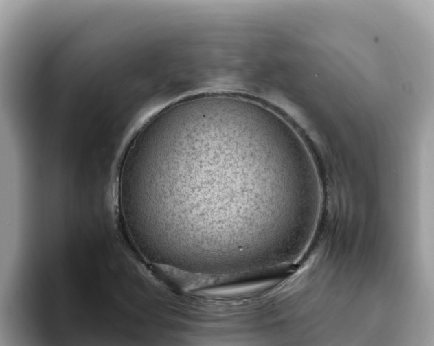 X0000093431366200710191017