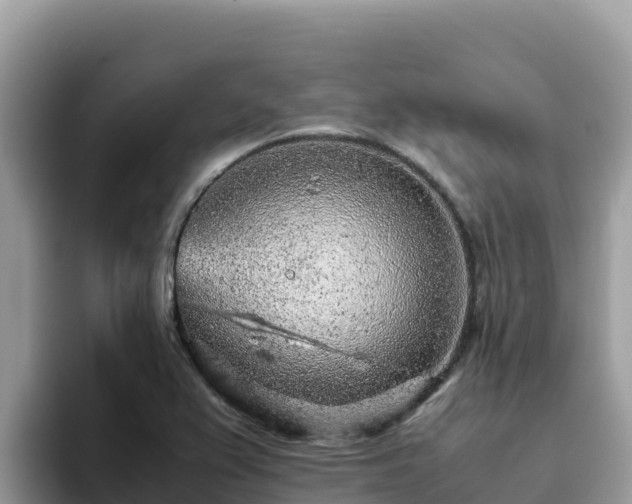 X0000093431367200710191017