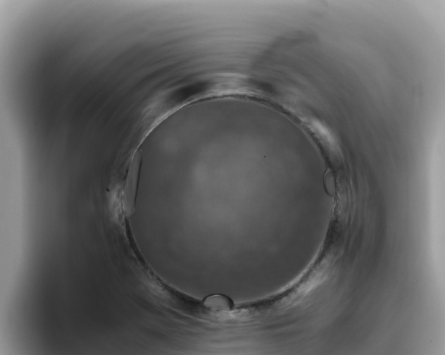 X0000093431369200710191017