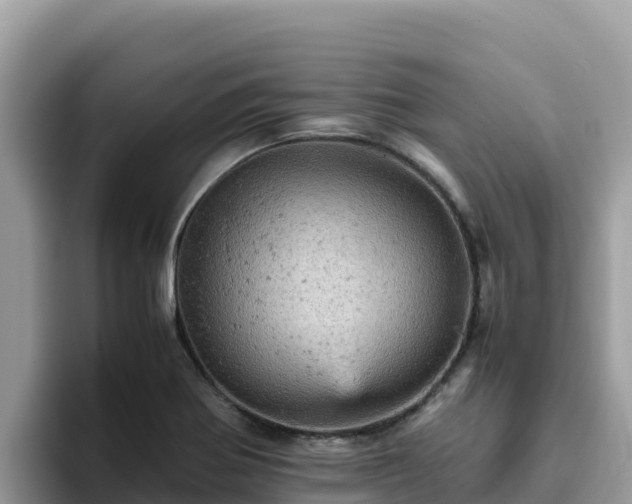 X0000093431370200710191017