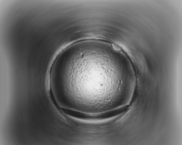 X0000093431371200710191017