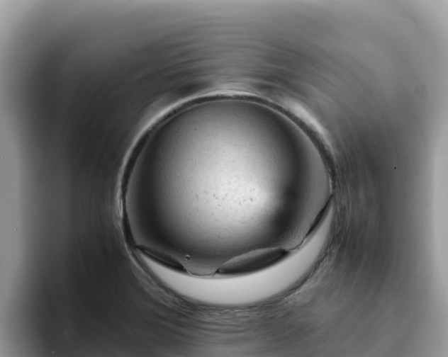 X0000093431372200710191017