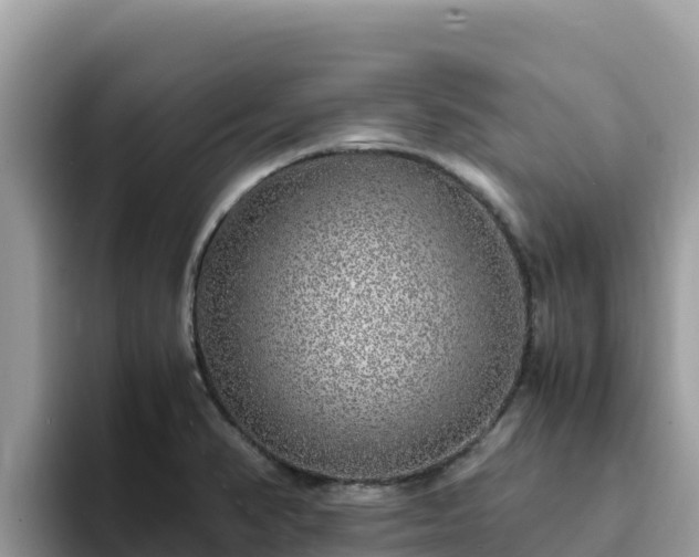 X0000093431374200710191017
