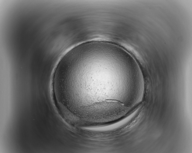 X0000093431375200710191017
