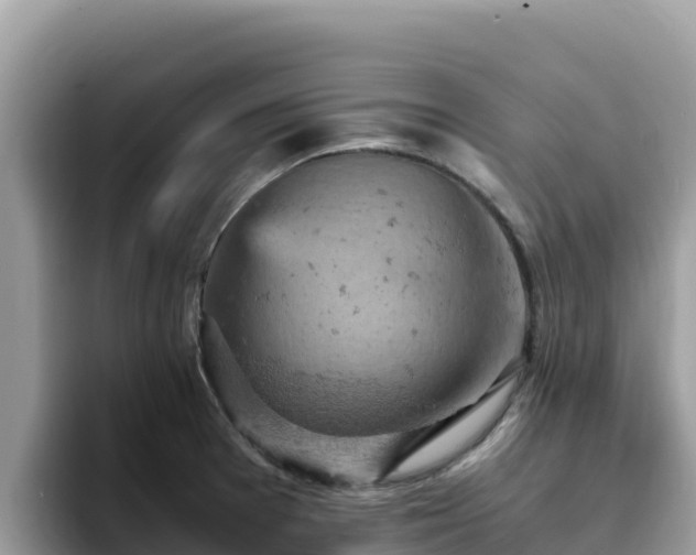 X0000093431377200710191017