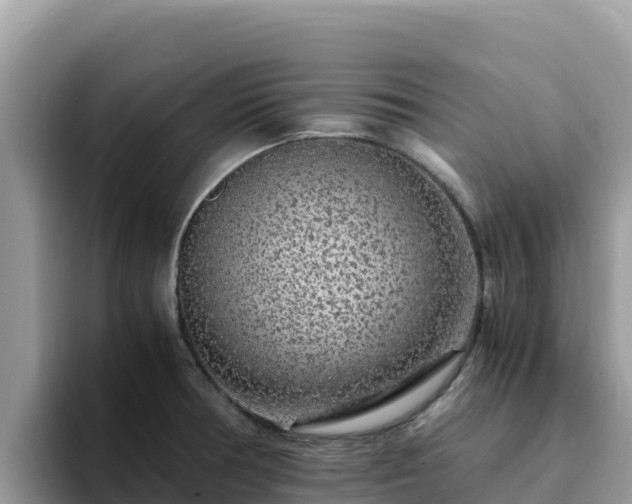 X0000093431378200710191017