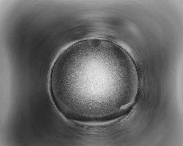 X0000093431379200710191017