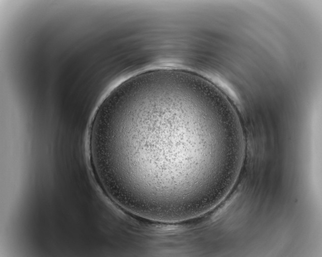 X0000093431382200710191017