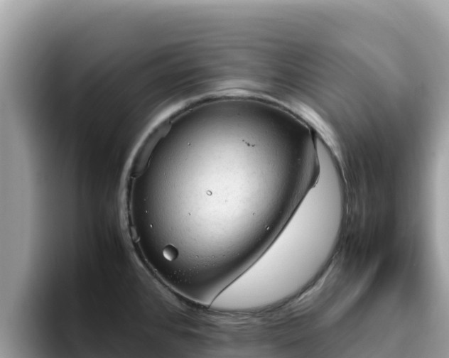 X0000093431384200710191017
