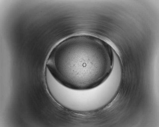 X0000093431388200710191017