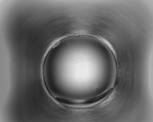 X0000093431389200710191017