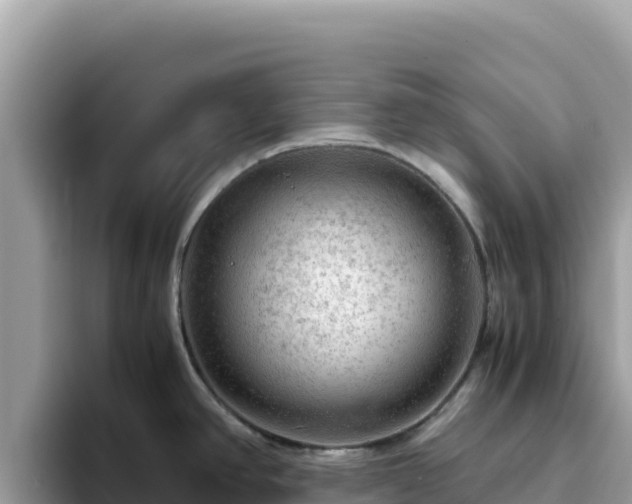 X0000093431390200710191017