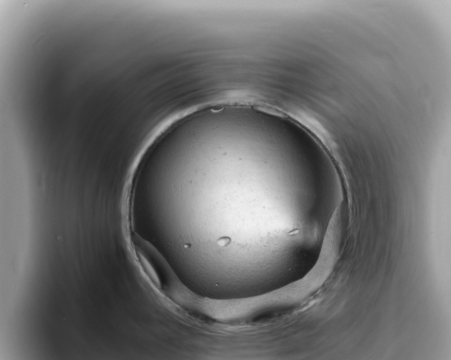X0000093431392200710191017