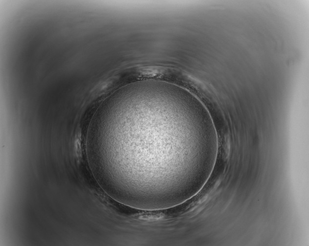 X0000093431394200710191016