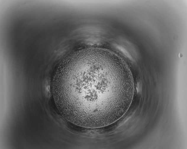 X0000093431396200710191016