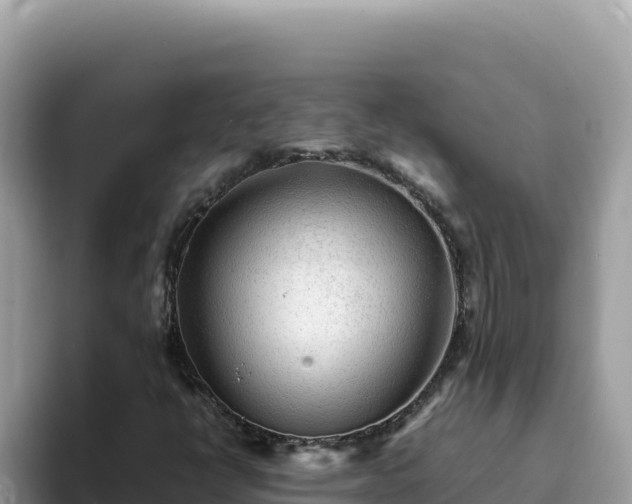 X0000093431398200710191016