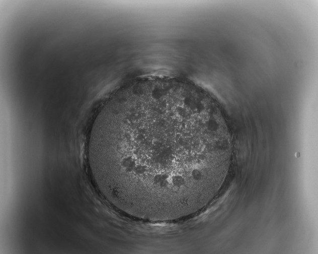 X0000093431399200710191016