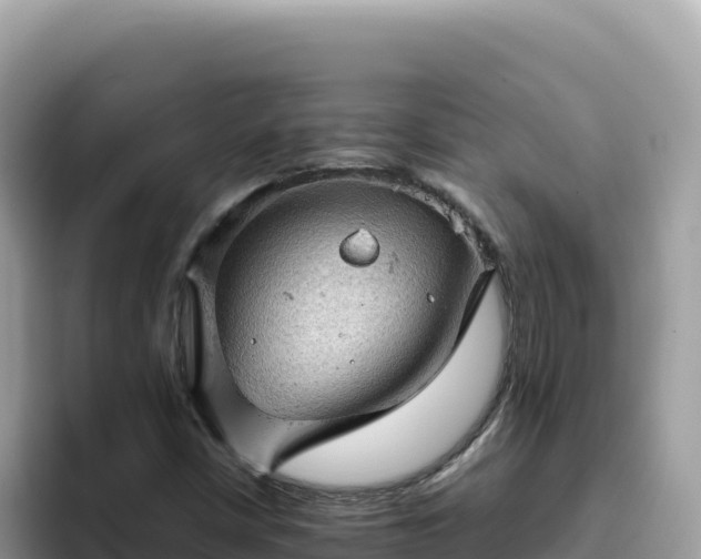 X0000093431402200710191016