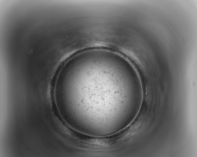 X0000093431404200710191016