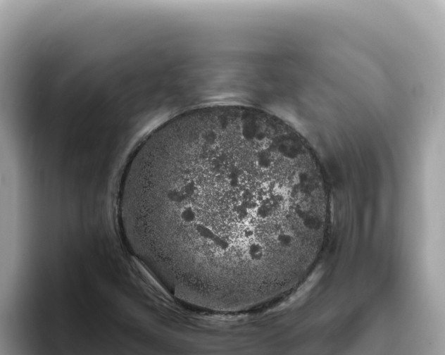 X0000093431405200710191016