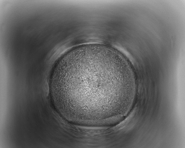 X0000093431407200710191016