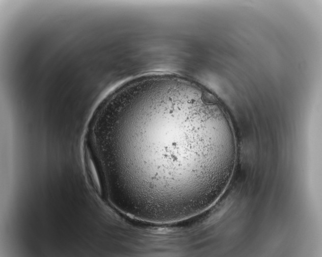 X0000093431412200710191016