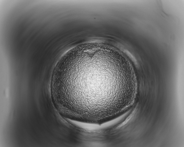 X0000093431417200710191017