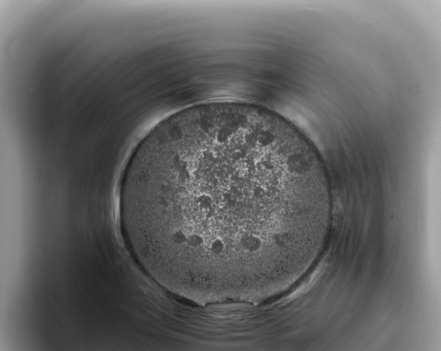 X0000093431419200710191017