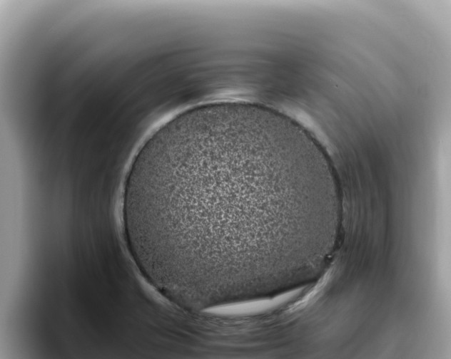X0000093431421200710191017